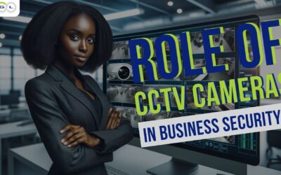 The Role of CCTV Cameras in Business Security